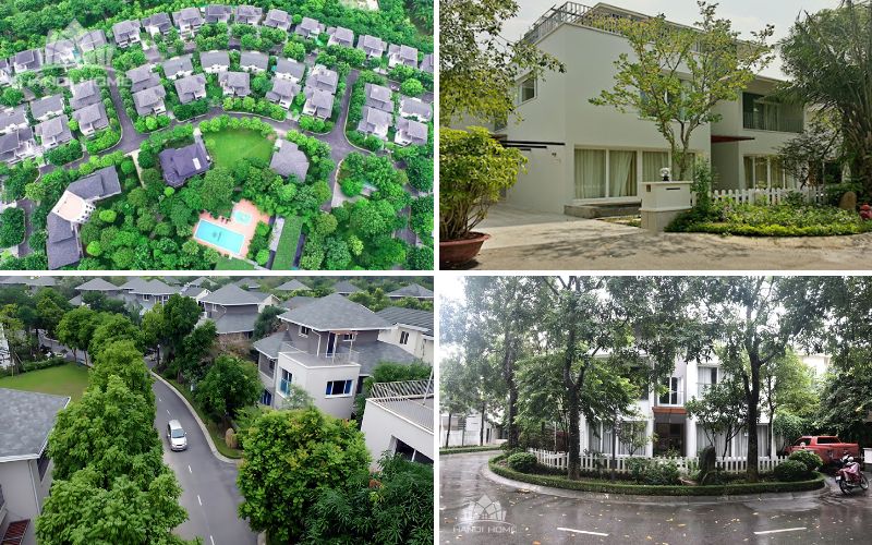 Vuon Mai villas for rent in Ecopark
