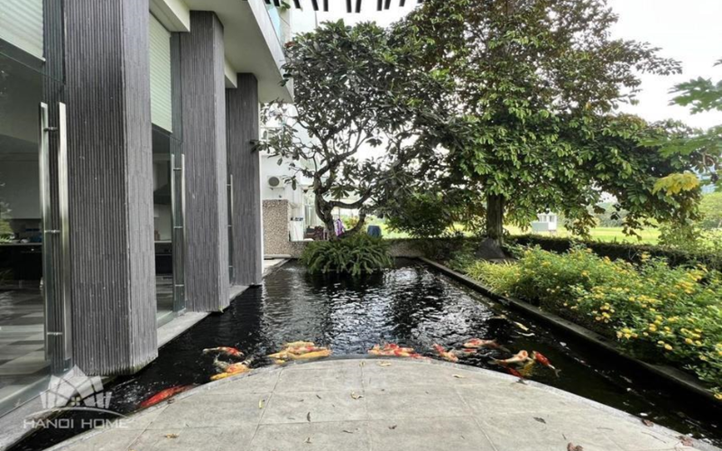 Villas for rent with KOI Pond in Ciputra
