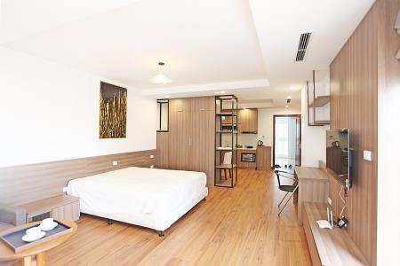 Brand new modern, high quality studio for rent in Dang Thai Mai St