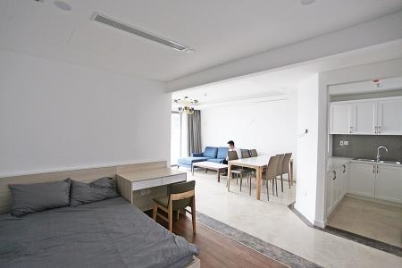 Modern and spacious apartment on D'. Le Roi Soleil Tan Hoang Minh