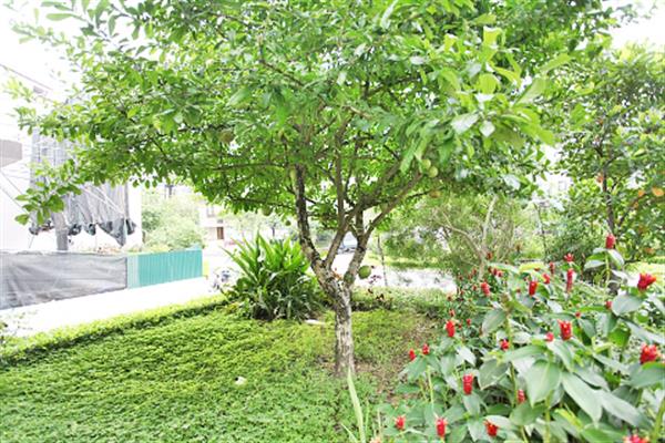 Magnificent 7 bedroom villa for rent in Ciputra, big yard and garden
