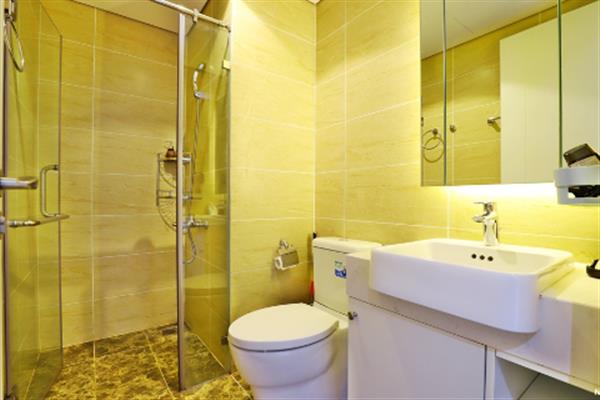Bright and stylish decorated Studio at D'capitale for rent, City view