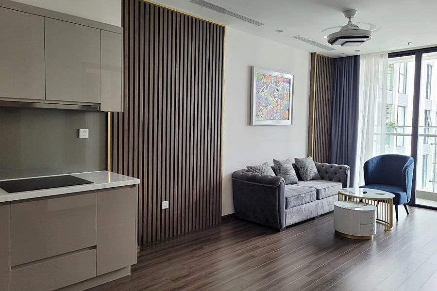 High quality modern 02 bedroom apartment with nice Balcony in Vinhomes Symphony.