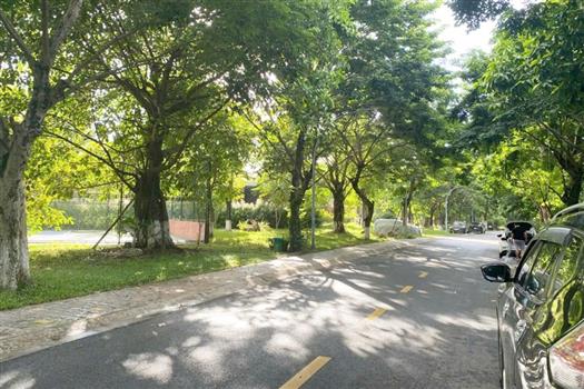 3-Bedroom Villa in Ecopark Hung Yen: A Green Oasis with Fresh Air