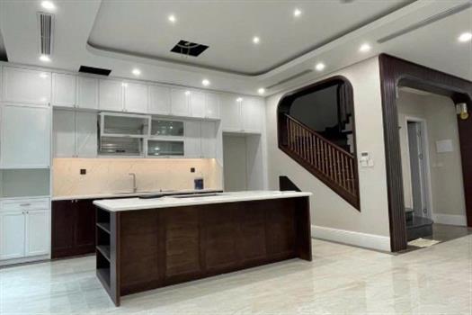 Luxurious and Spacious villa with fully furnished in Ciputra