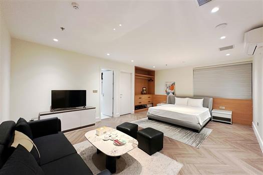 Stylish and Cozy studio apartment for rent on Ve Ho street