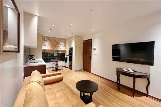 Vintage style one bedroom apartment for rent on To Ngoc Van street