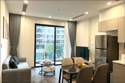 Beautiful 2 bedroom apartment for rent in Zen Park, high quality
