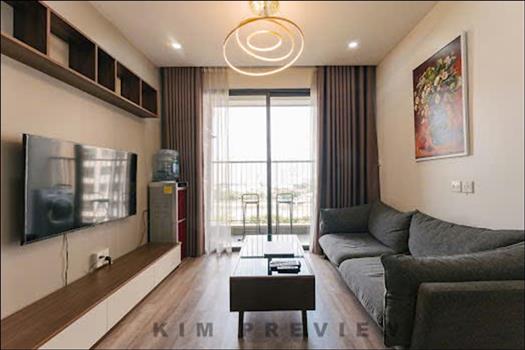 Simple 2 bedroom apartment for rent in Vinhomes D Capitale