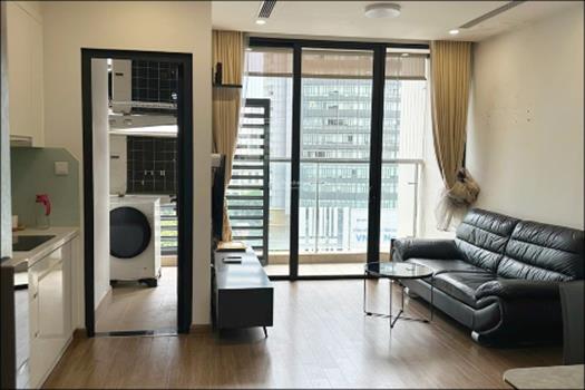 2 Bedroom apartment in Vinhomes Skylake for rent