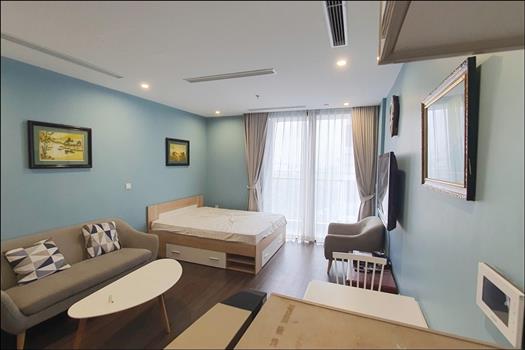 Good price studio apartment in Vinhomes Symphony