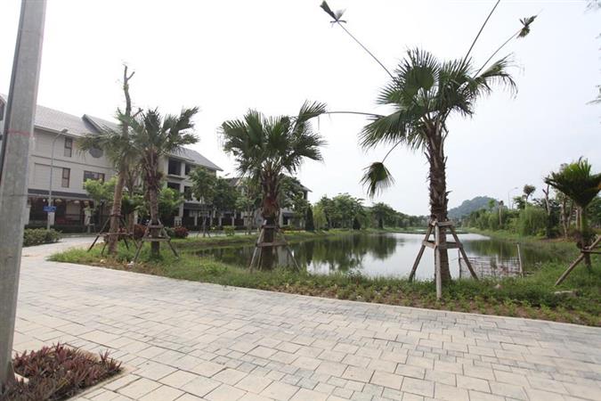 beautiful villa with big yard in sai son quoc oai district 1 01461