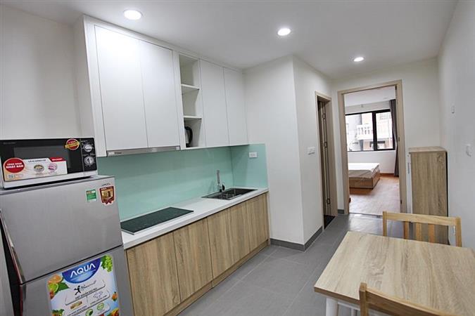 brand new 1 bedroom apartment for rent in hoang hoa tham st 003 20852