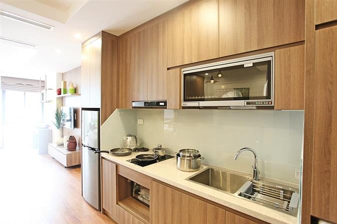 brand new modern high quality apartment for rent in dang thai mai street tay ho 10 71087