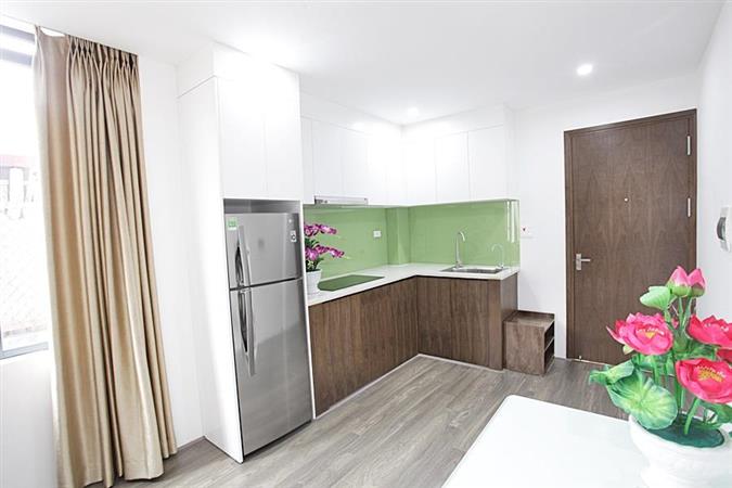 elegant 1 bedroom apartment in xuan dieu quiet and brand new 003 06337