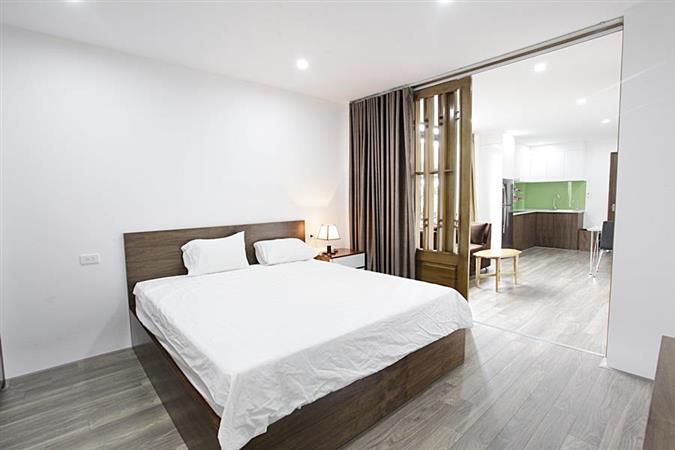 elegant 1 bedroom apartment in xuan dieu quiet and brand new 008 47193